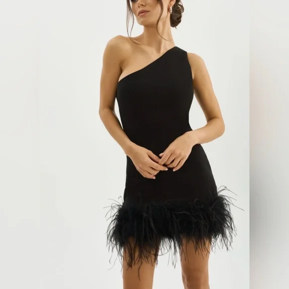 LAMARQUE Tafia One Shoulder Feather Trim Mini Dress Black NWT Size M - Picture 3 of 9